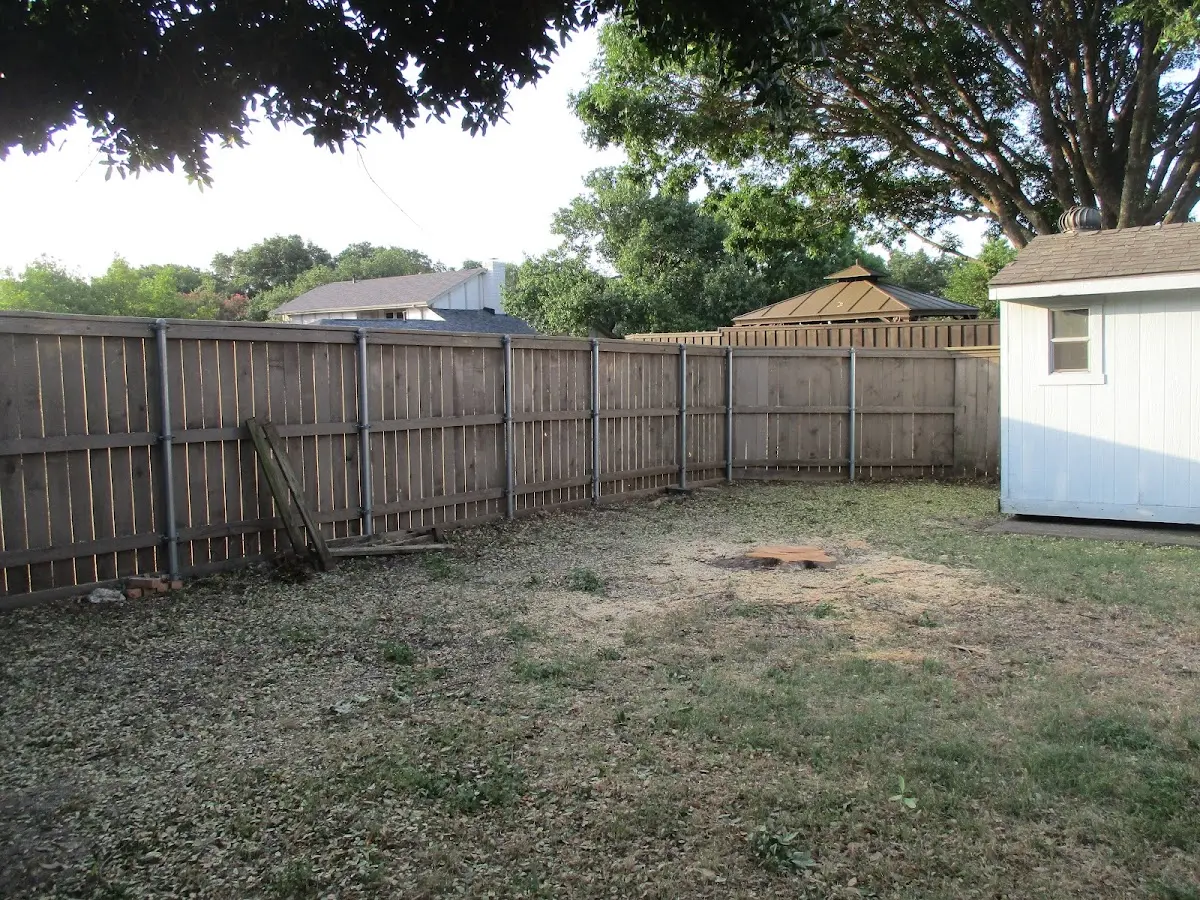 Cleared yard after professional tree removal in Chandlersville
