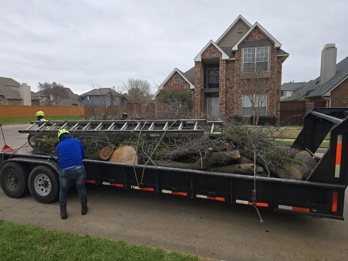 Expert Tree Removal with proper safety equipment in Chandlersville